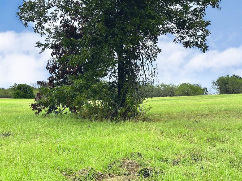 Southpoint On Richland Chamb - Land