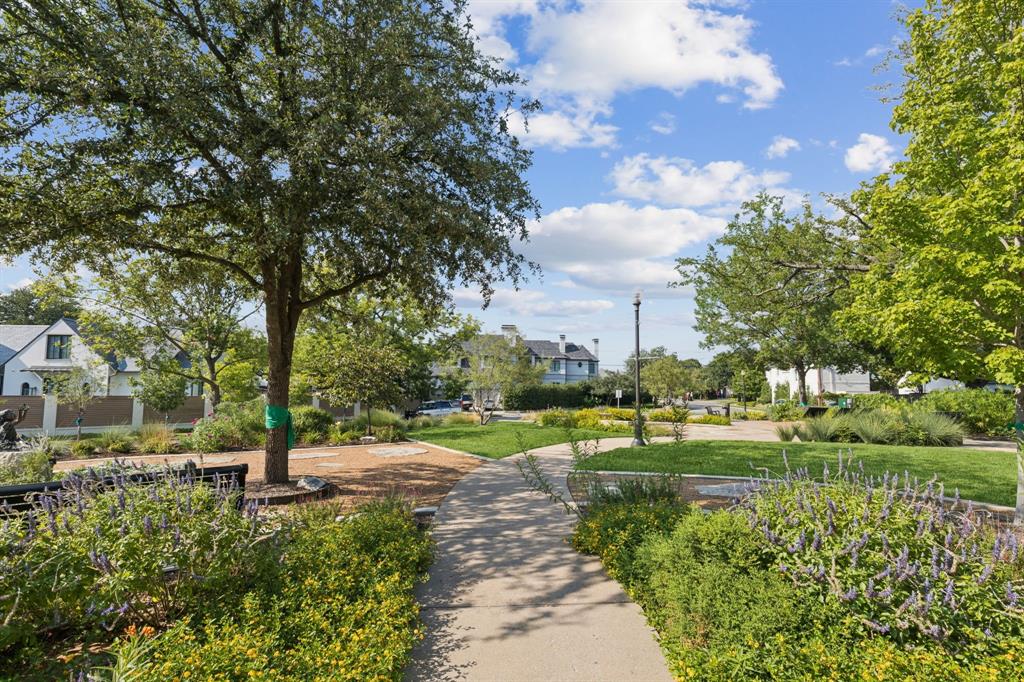 Caruth Hills 04 - Land