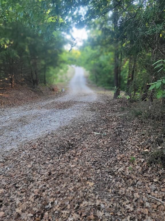 Van Zandt County School Land S - Residential