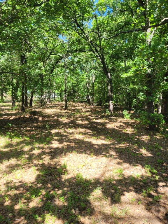 Van Zandt County School Land S - Residential