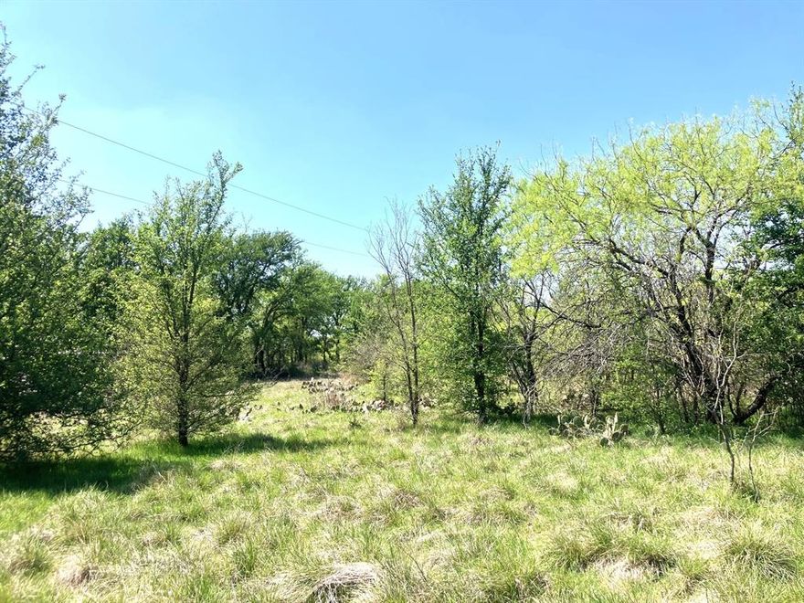 • 
• 
• 3 acres more-less on CR 410A north of Comanche and near Comanche County Medical Center. (Property will be surveyed and sold by the surveyed acre according to the aerial boundary drawings shown in the photos.)
• 
• The land consists of a mixture of Oak, Elm and Mesquite trees. 
• 
• Electricity is available anywhere on the parcel via the CECA powerline which runs along the south boundary from the county road to the back, and then it crosses across the back of the acreage as well. 
•   
• An Upper Leon Municipal water line runs along the county road and meters are available.
• 
• Will need a fence built on the back (west side) of the property
• 
• Good, all weather county road - part paved – part gravel.
• 
• Great place to build a home near the hospital and not far out of Comanche.  Call us today to see it!!