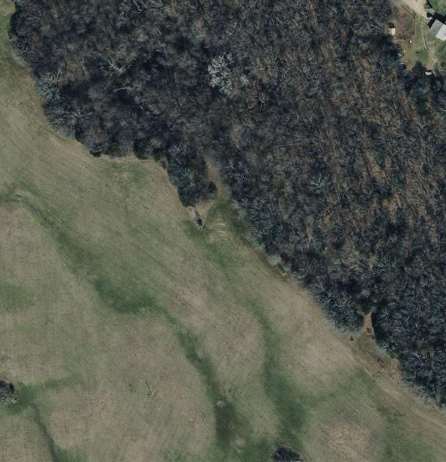 Three seperate beautiful 5-acre tract located just outside of Bonham, TX! This heavily wooded property offers a peaceful, secluded setting perfect for weekend recreation, hunting, or building your dream home in the country. Mature trees cover the property, providing excellent privacy, natural shade, and habitat for deer, turkey, and other wildlife. Ideal for outdoor enthusiasts — bring your ATV, set up a campsite, or create hiking trails through your own private woods. Several potential building sites and electricity is available at the road. No known restrictions, so you have the freedom to build a custom home, barndo, cabin, or use it as a quiet retreat. Located just minutes from Bonham and a short drive to Bois d’Arc Lake, one of Texas’ newest recreational lakes. Easy access to Sherman, Paris, and the northern DFW area. Whether you're looking for a weekend escape or a place to put down roots, this property has the space and flexibility to fit your vision. Come walk it today and imagine the possibilities! Lot 1, Lot 2 and Lot 3 are all sold separately.  Lot 3 is has the possibility of a purchase of additional 4.99 acres.