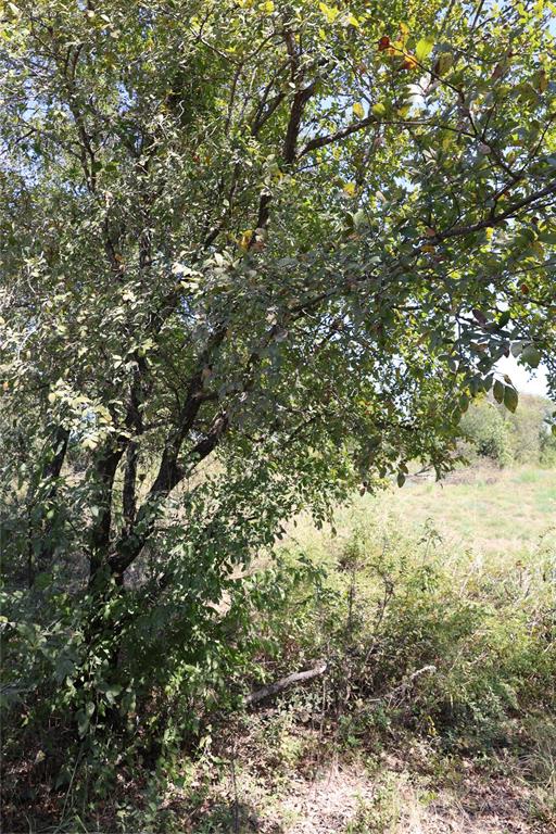 James Harrison Surv Abs # 508 - Land