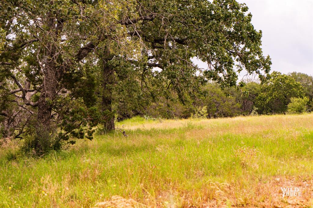 Brazos Mountain Ranch - Land