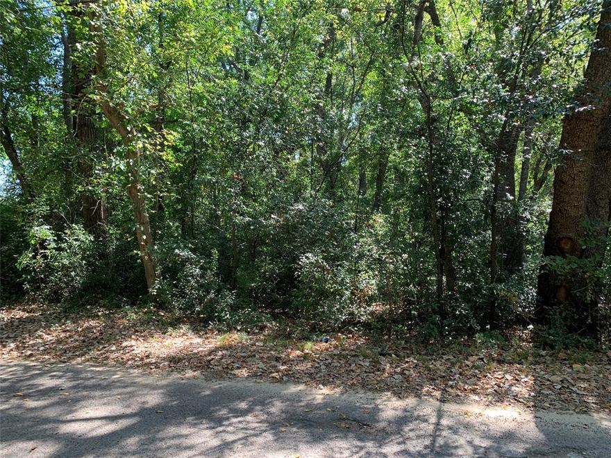 Don’t miss this rare chance to own four separate lots totaling approximately 1.95 acres within the Athens city limits. This property offers a prime central location, close to schools, shopping, and major roadways. With plenty of room to build or develop, it’s perfect for investors, builders, or anyone looking to create their own private retreat right in town. Utilities available nearby giving the property endless potential!
