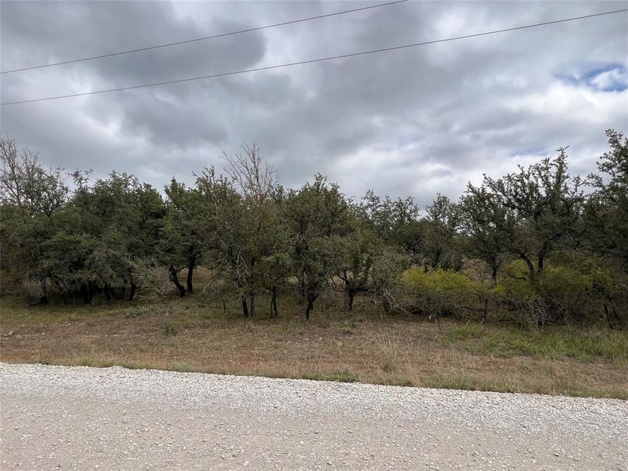 Beautiful .5 acre lot with a slight elevation gain from the road to the back of the property. This would be the perfect lot to build a house on with the elevation and heavy tree cover for privacy. This lot is located in the gated subdivision of Oak Point on Lake Brownwood. There is electricity at the street and a large, high-fenced ranch on the back of the property. There are not any homes built around this lot at the time of this listing so if privacy is what you are looking for, come take a look today.