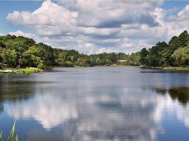 Holly Lake Ranch - Residential