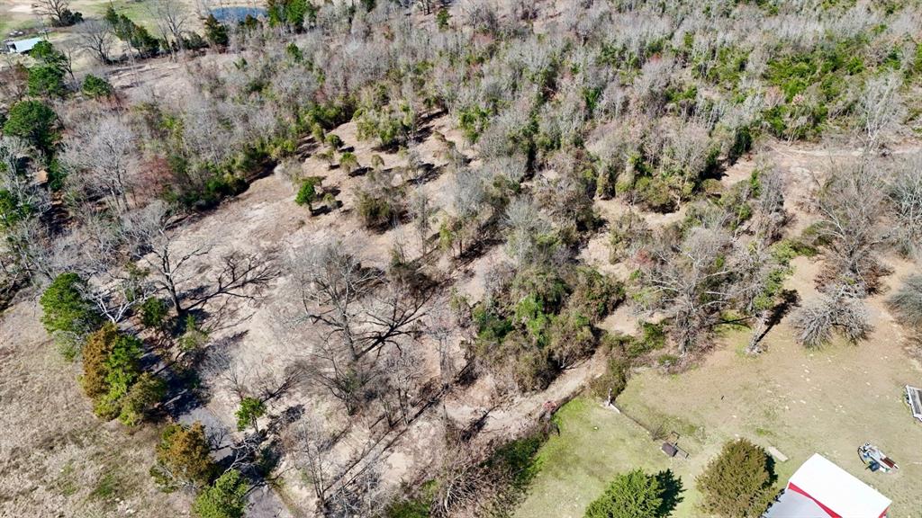 Abs A043 Nancy Glass,92.17 Acres - Land