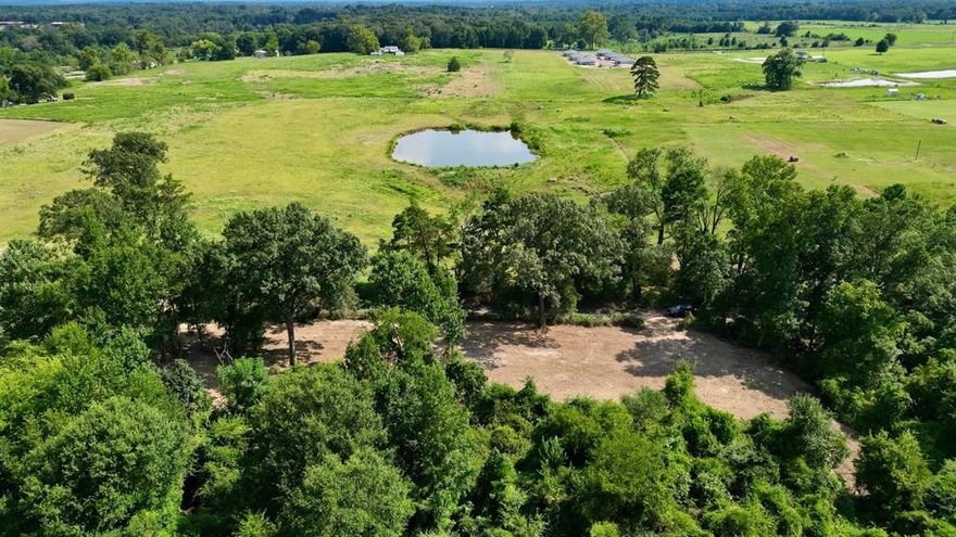 This tract provides a mix of open space and natural cover, making it the ideal place to build from the ground up. Whether you're planning to build or set up a small agricultural setup, the land offers the flexibility to create exactly what you envision. Electric and Co-op water available.
Wildlife: Native East Texas wildlife, including whitetail deer, hogs, and other small game.