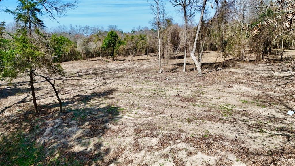 Abs A043 Nancy Glass,92.17 Acres - Land