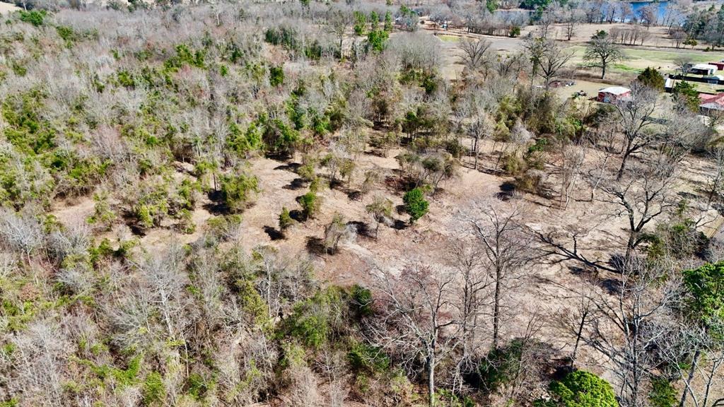 Abs A043 Nancy Glass,92.17 Acres - Land