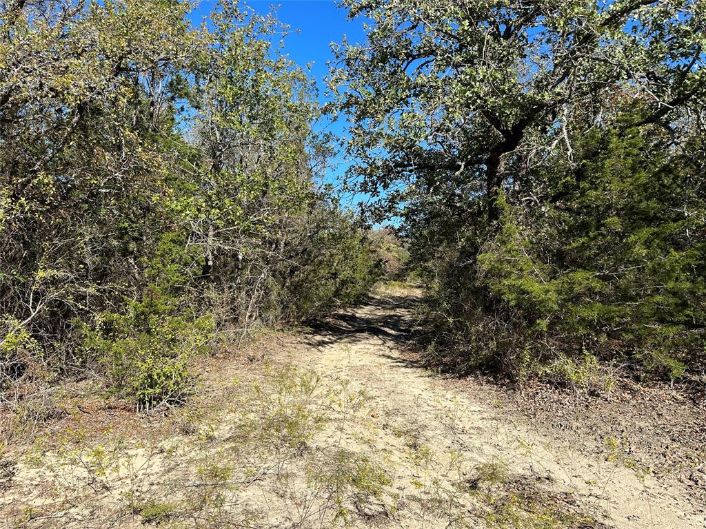 John Reese Surv A-661 - Farm