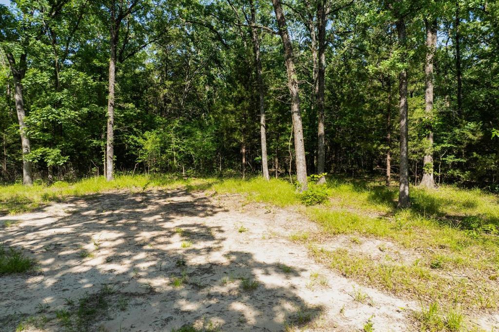 Cedar Oaks Ph II - Land