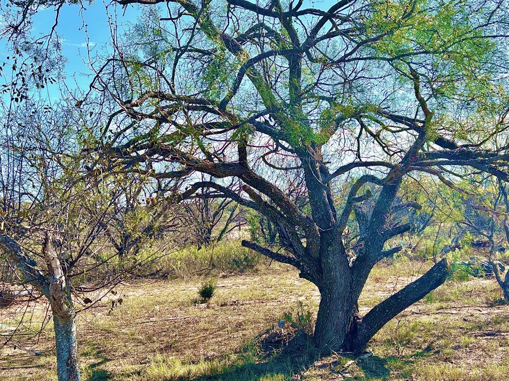 CHRISTIAN BLUMENTHAL - Residential