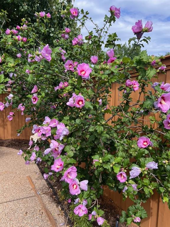 Heritage Park Ph 3a-2 - Residential