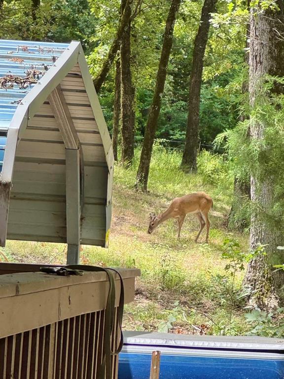 Mallard Cove - Residential