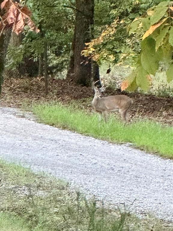 Mallard Cove - Residential