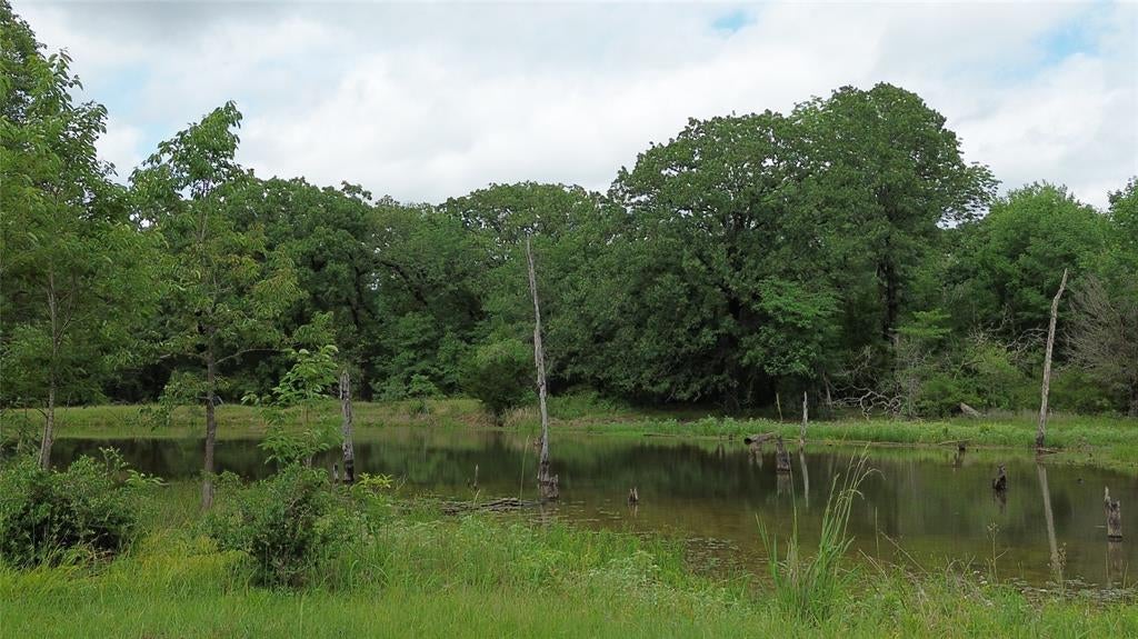 12387 County Road 3120