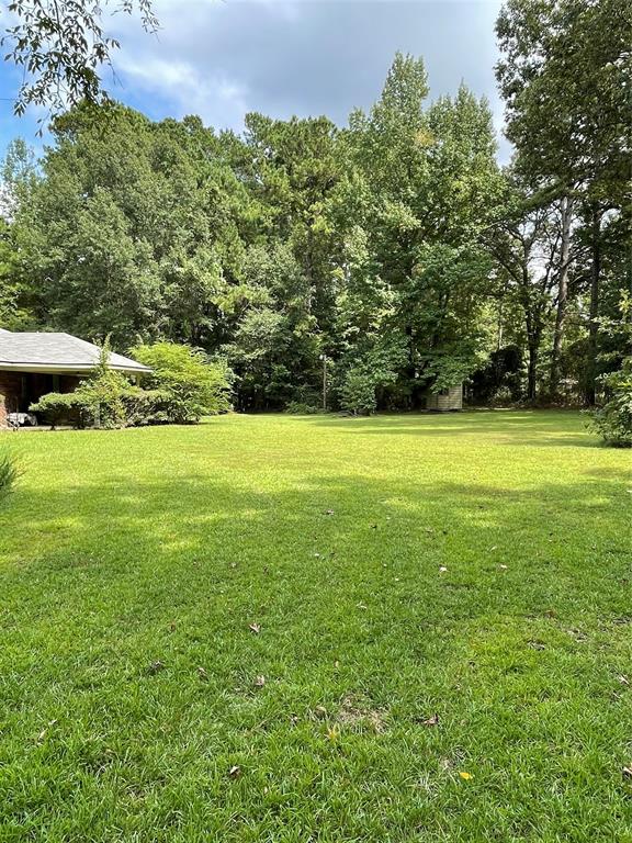 The Forest #1 - Residential