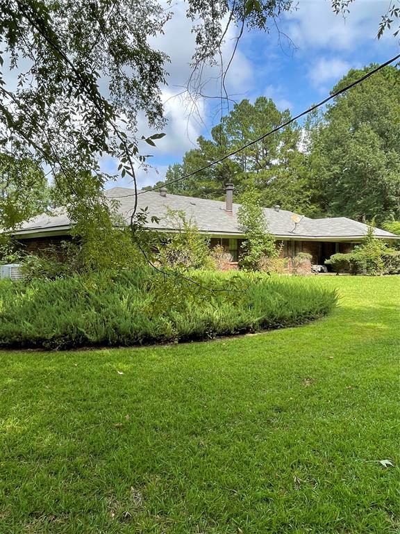 The Forest #1 - Residential