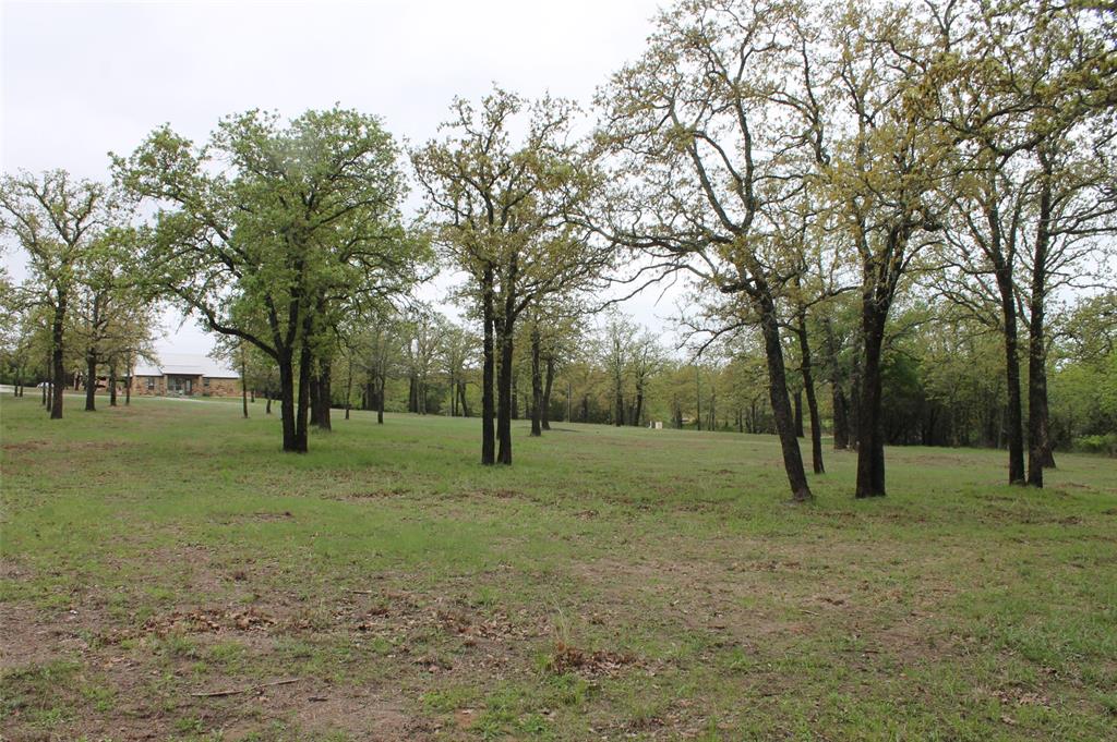 Glen Rose, Texas 76043, United States, ,Land,Pending,103313