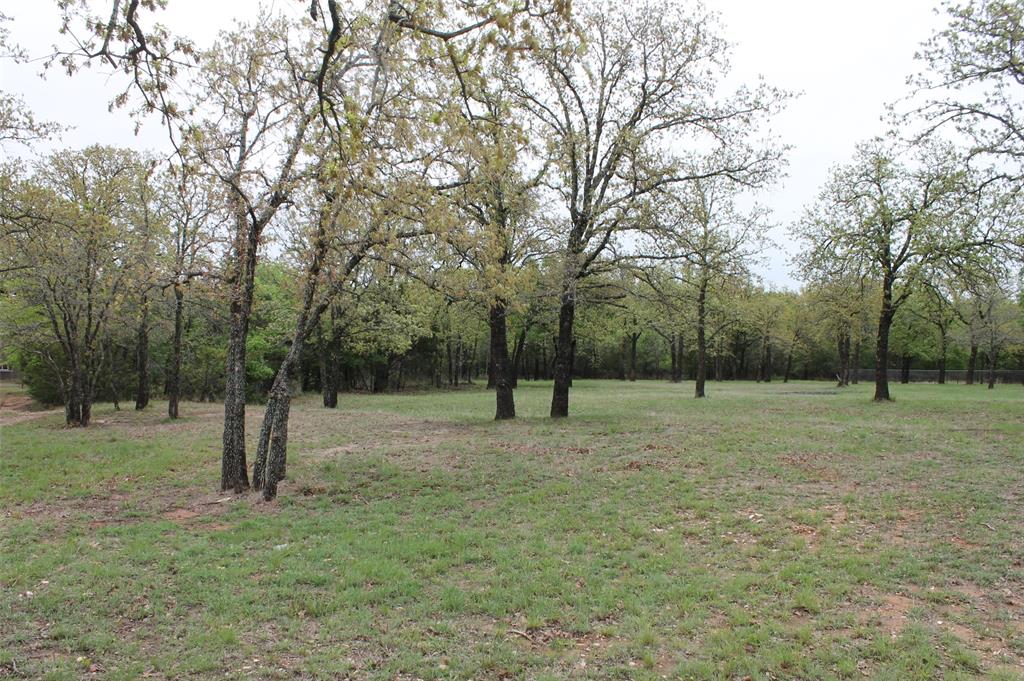 Glen Rose, Texas 76043, United States, ,Land,Pending,103313