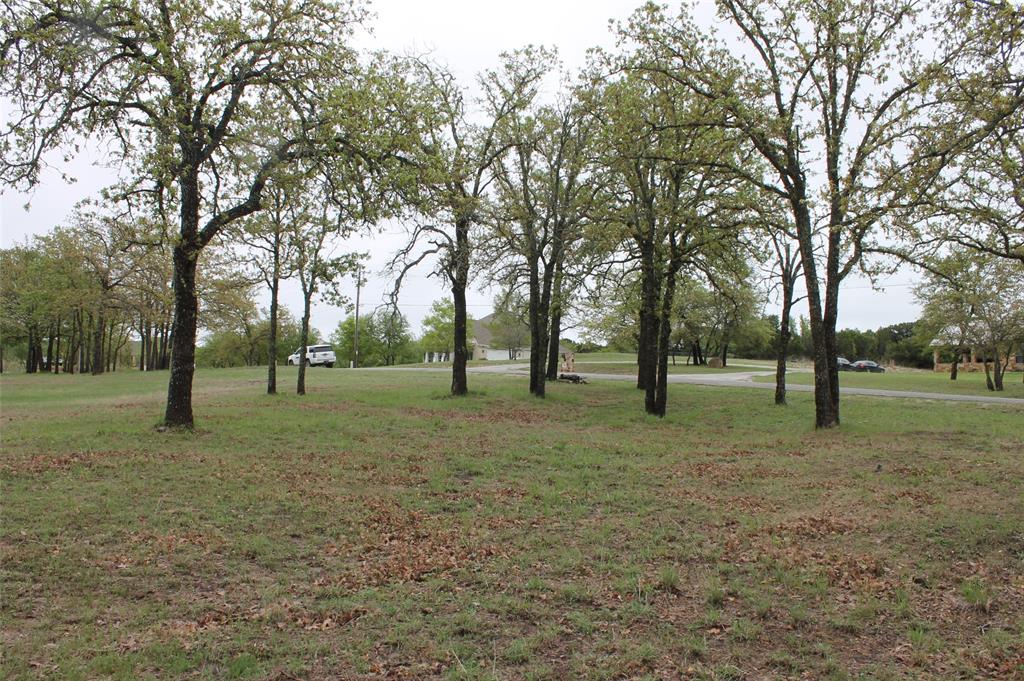 Glen Rose, Texas 76043, United States, ,Land,Pending,103313