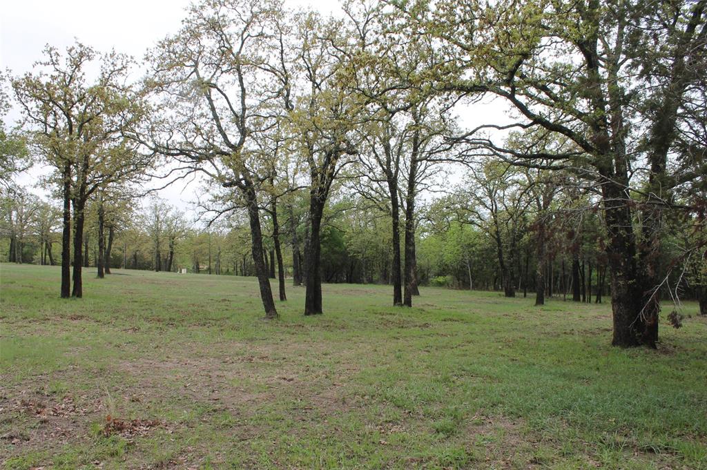 Glen Rose, Texas 76043, United States, ,Land,Pending,103313