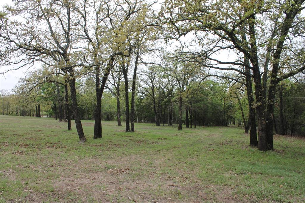 Glen Rose, Texas 76043, United States, ,Land,Pending,103313