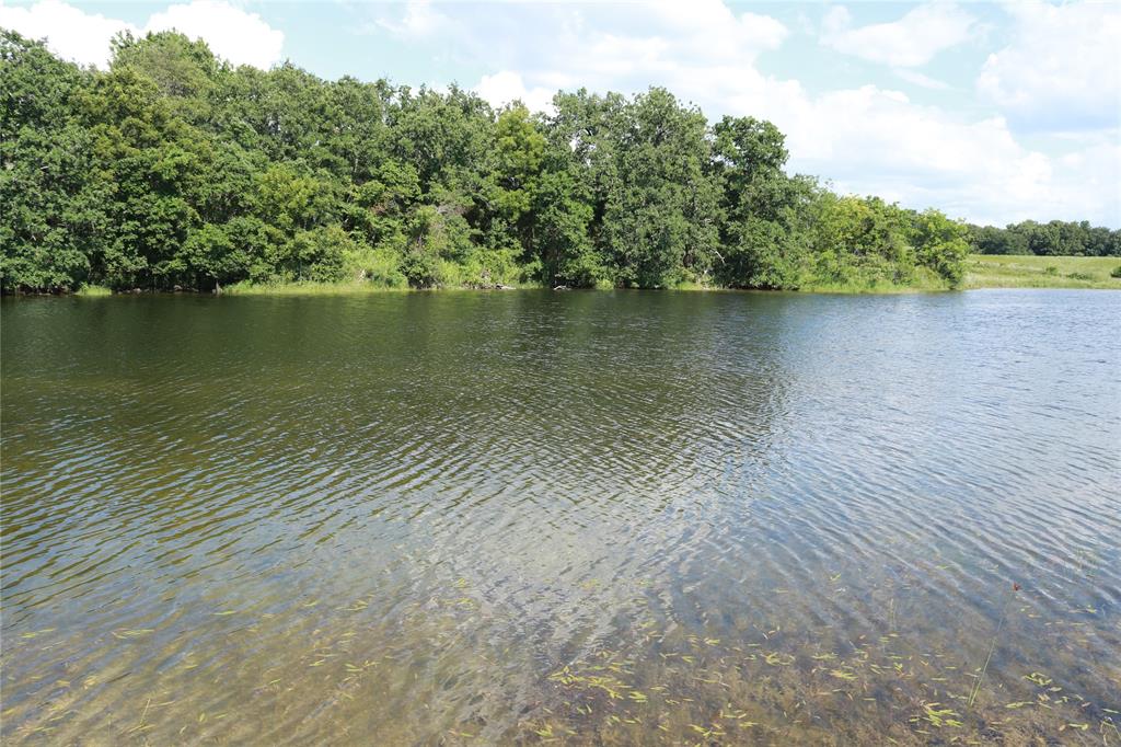 136+/- Acres Rock Quarry