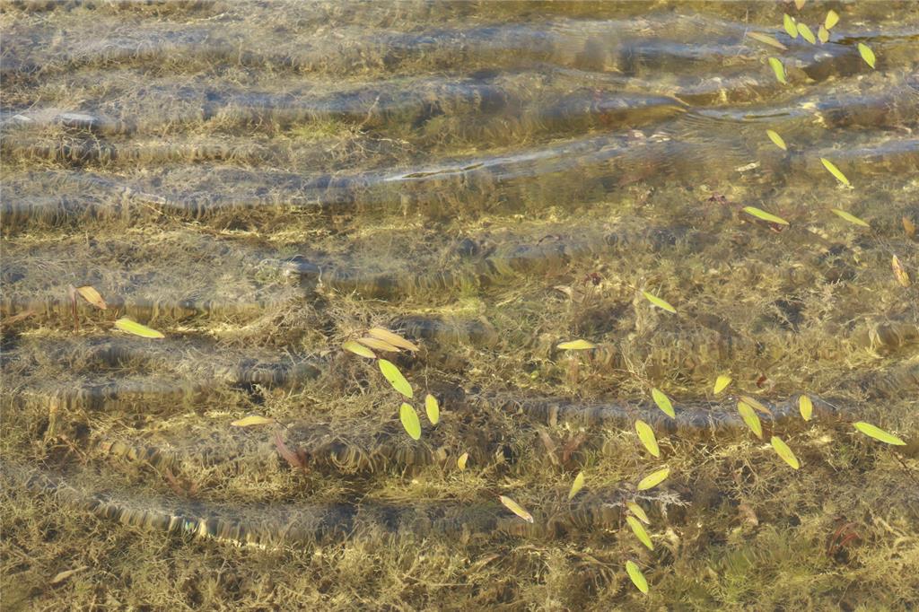 136+/- Acres Rock Quarry
