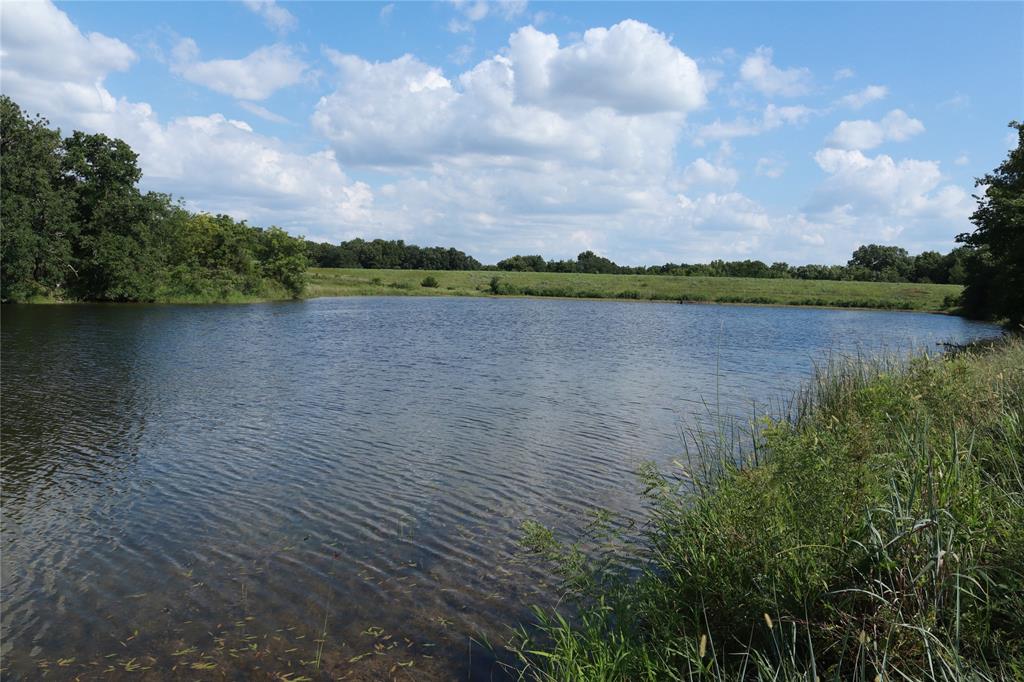 136+/- Acres Rock Quarry