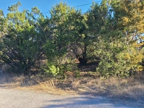 2527 Mercedes Street