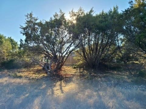 2527 Mercedes Street