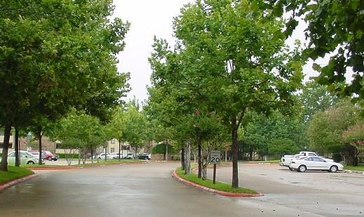 Cloisters Condo The - Residential