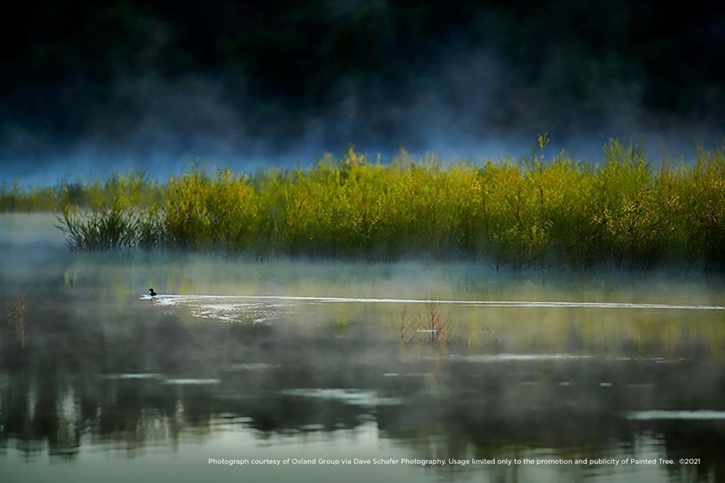 Painted Tree-Woodland West - Residential