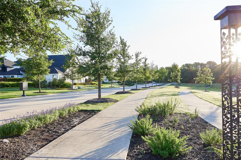 9251 Cardinal Flower Street