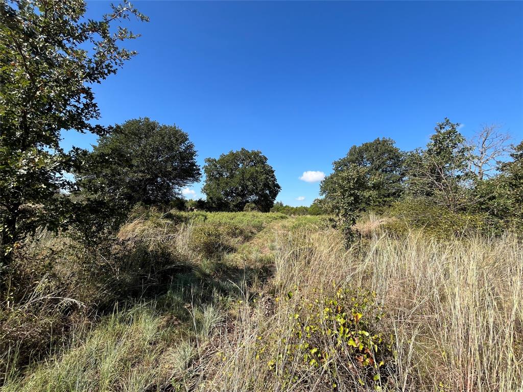 TBD FM 1824 Fm-1824 Road 1824