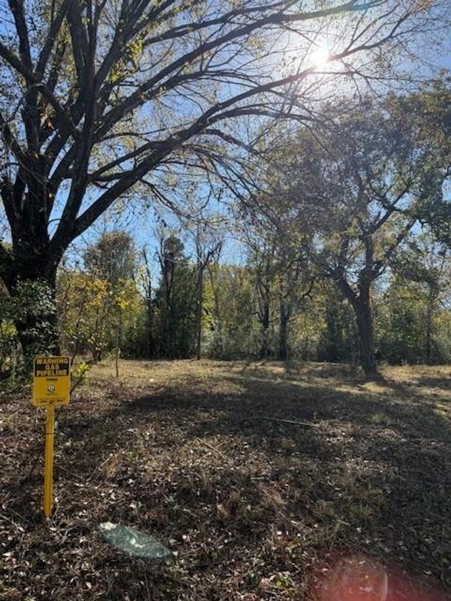 Take a look at this building lot in NE Paris. Build your home on this vacant lot or add to your portfolio for later development. Currently zoned Single Family but may be able to rezone to Multi-family for a duplex.