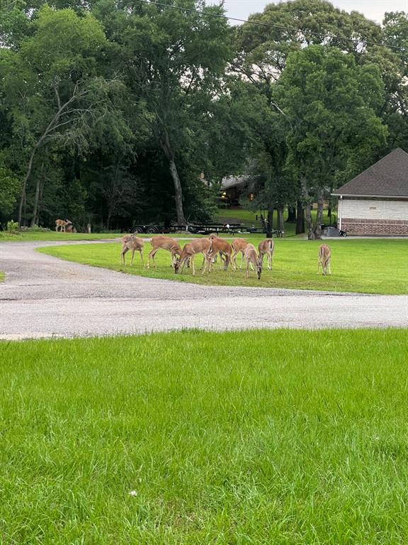 Peninsula Point - Residential