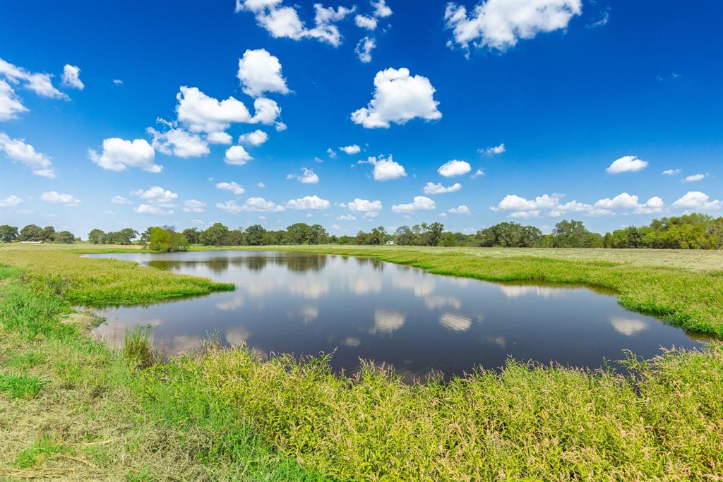 31 Acres Texas Highway 19 S