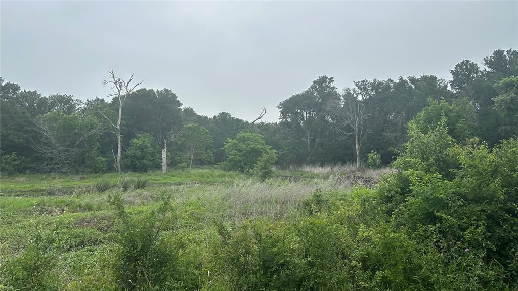 Photo of TBD Hwy 84 W, Mexia, TX 76667 (MLS # 21268407)