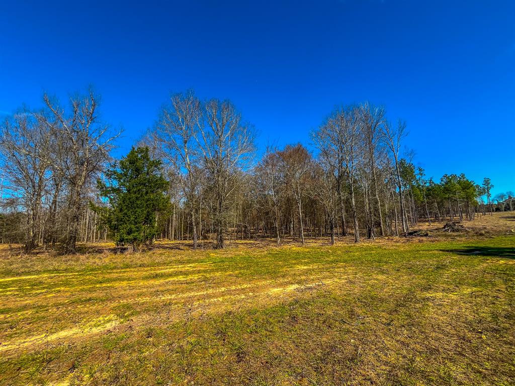 Tract 3 County Road 1713