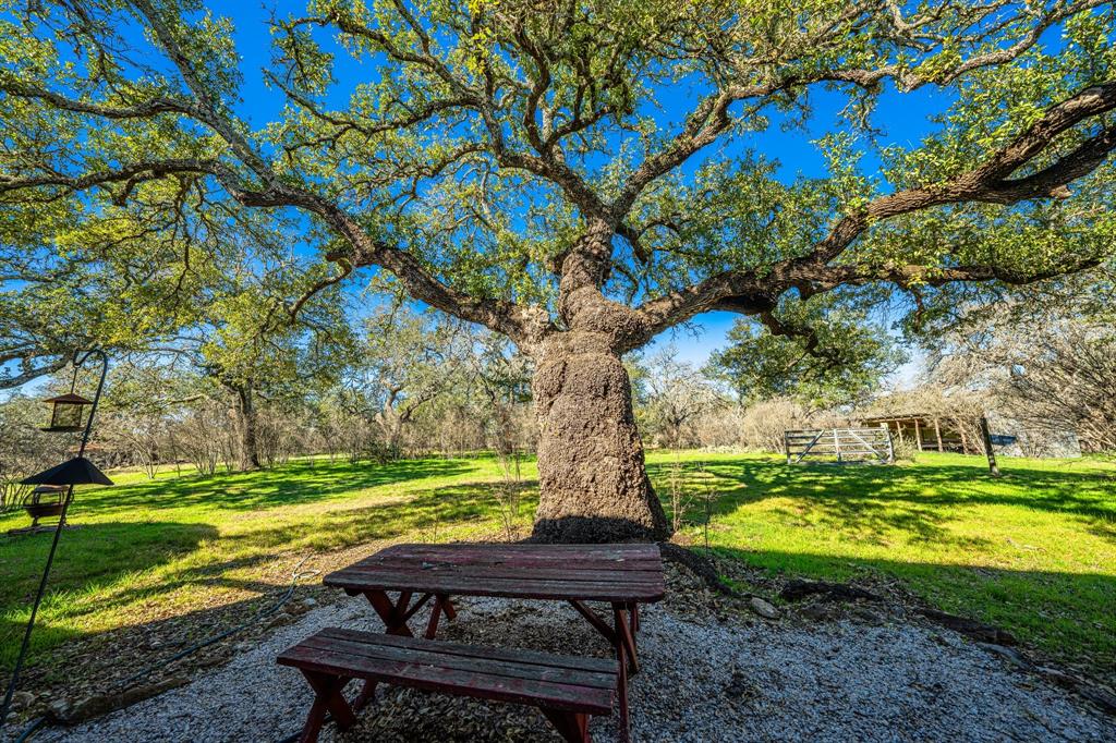 Lake on Flat Creek - Farm