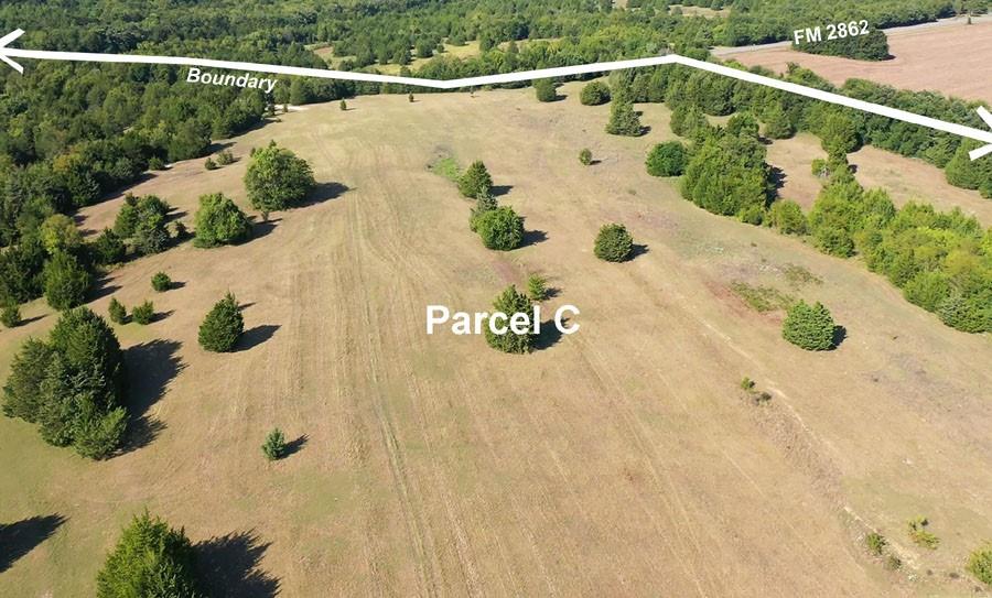 Photo 5 of 9 of Parcel C 5880 FM2862 (Parcel C) land