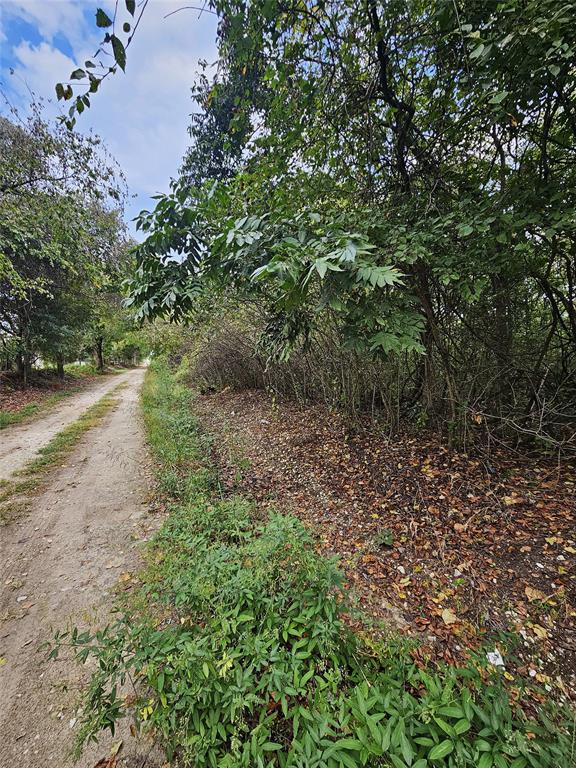32.49 Acres W College Avenue