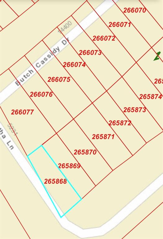 00000 Sagebrush Street