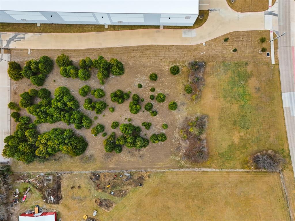 Thomas Scott Surv Abs #1353 - Land