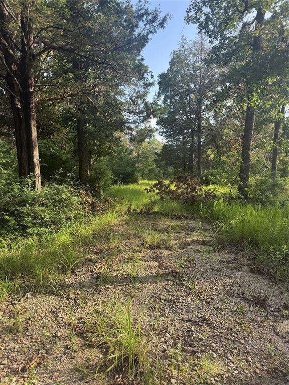 SW LAMAR - Residential