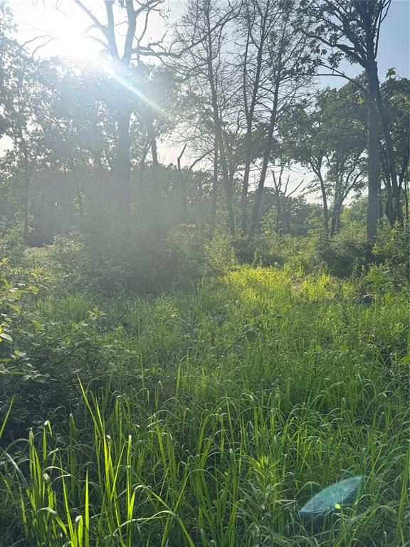 SW LAMAR - Residential